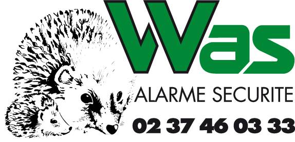 was -LOGO was -LOGO
